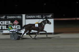 Winning bet on Swan Hill racing