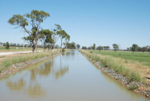Steer clear of channel swims