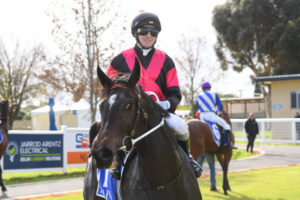 Locals light up their own carnival and line up today for more golden moments