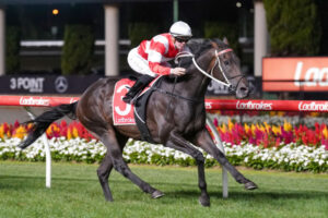 Rock Tycoon on track for big pay day