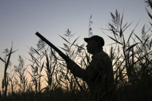 Stubble quail season shortened