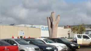 Stumped: Tree felled in parking lot