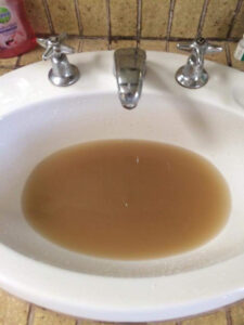 Drinking water in the pipeline for Berriwillock, Culgoa