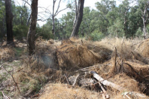 Fire worry over park