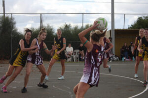 Swans and Eagles face off in Central Murray netball