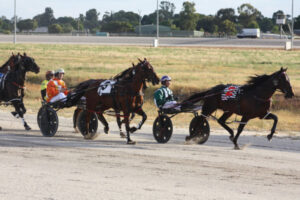 Family doubles up at Swan Hill trots