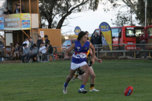 Great expectations, but Dogs too good