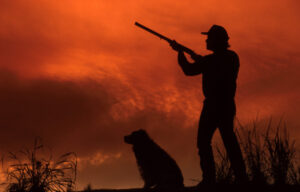 Hunting for tourists