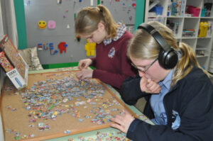 Learning diversity brings results