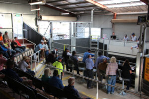 Councillor calls for feasibility study