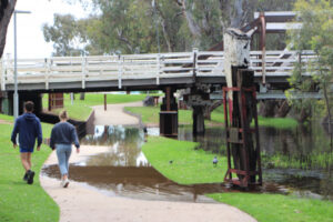 Year in Review – November – pt. 1