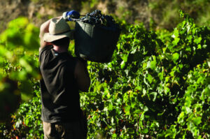 No bullet dodged for dodgy hire contractors