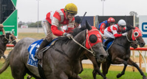Hobson stable reigns in rain