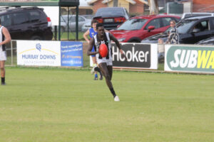 Raven makes a good Magpie