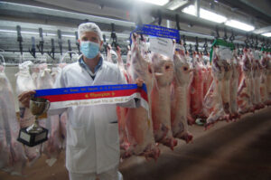 Lamb breeding plan pays off