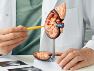Kidney health more than just a wee pproblem