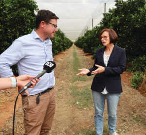 Rules ‘unviable’