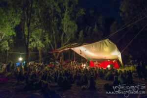 Alleged festival assault