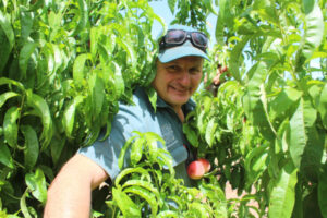 Fruit on China’s menu