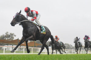 Doubts on local Cup hopes