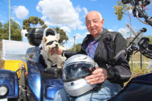 Brian and Bingo bring awareness