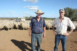 Wait for OJD status approval