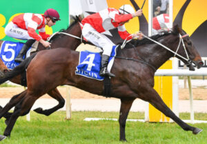 Did Hobson quinella tell us the AFL premiers?