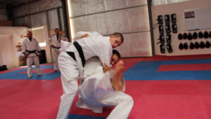 Martial arts popularity soars