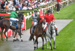 Fallen Star dampens a Class show