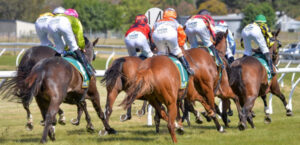 Today’s Swan Hill meeting proceeds.
