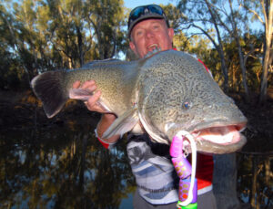 Cod biting on the surface