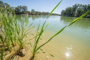 Senate hearings shut out basin water users