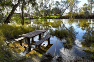 Murray River braces for more flooding
