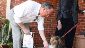 Volunteers on door knocking blitz