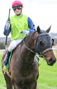 Coffey climbs great heights with Tibetan