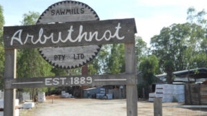 Redgum forest harvesting to face the chop