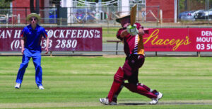 Swans aim to ruffle some feathers