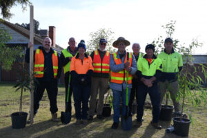 Rotarians’ regreening efforts