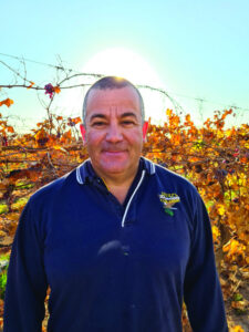 Grapes hit by surplus