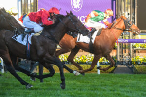 Golden Topaz draws quality field