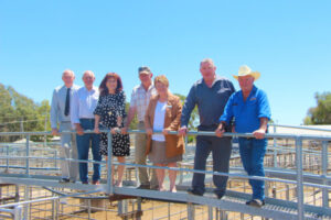 STRONG SELLING Upgrades to Swan Hill saleyards launched