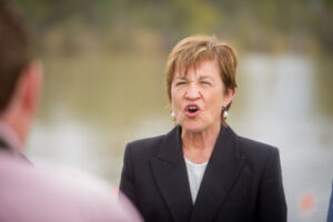 Gladys Berejiklian had to go, says Helen Dalton
