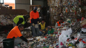 Bin audit: authorities check rate of recycling