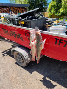 Moulamein Notes with China Gibson December 10