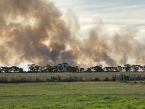 Crop destroyed in suspicious fire