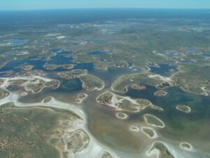 Pavey does not disclose legal advice over floodplain harvesting