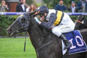 Coffey ride an Award winner