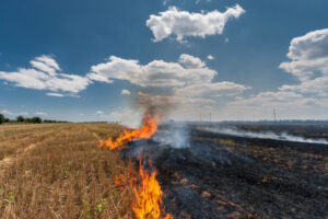 CFA highlights hay fire risk
