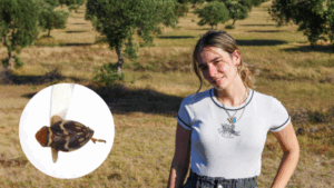 Scientist explores bug link