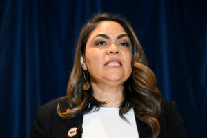 Price in fear after texts say ‘no’ to Voice